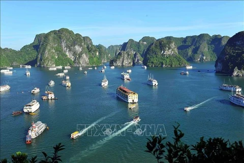 Bahía de Ha Long nombrada entre mejores destinos del mundo en 2024 por Tripadvisor