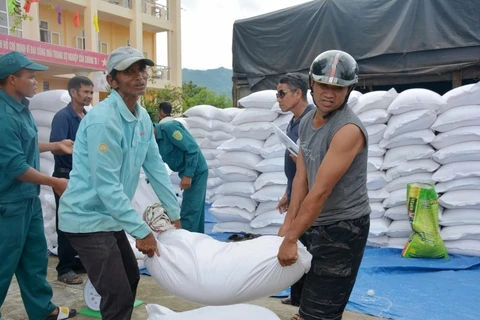Asignan 15 mil 500 toneladas de arroz a 17 provincias vietnamitas