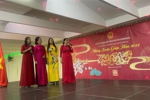 Vietnamitas en Ultramar celebran Fiesta del Nuevo Año Lunar