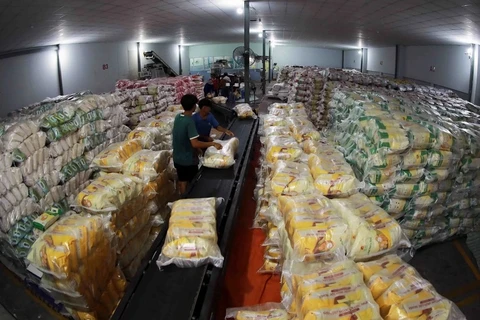 Empresas vietnamitas obtienen contratos para exportar 300 mil toneladas de arroz a Indonesia