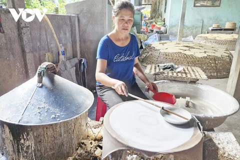 Tet: temporada alta de aldeas de oficios tradicionales en ciudad vietnamita