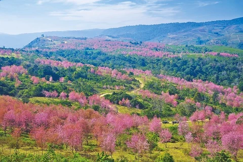 Provincia de Phitsanulok se convierte en nueva atracción turística de Tailandia