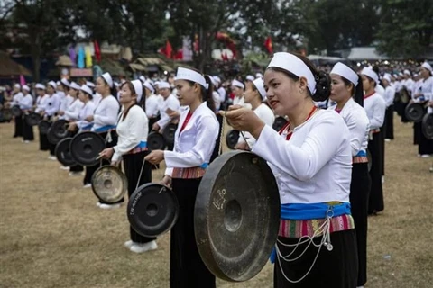 Vibrantes actividades festivas primaverales con motivo del Tet en Vietnam