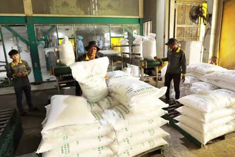 Recomiendan a empresas vietnamitas impulsar ventas de arroz a Indonesia