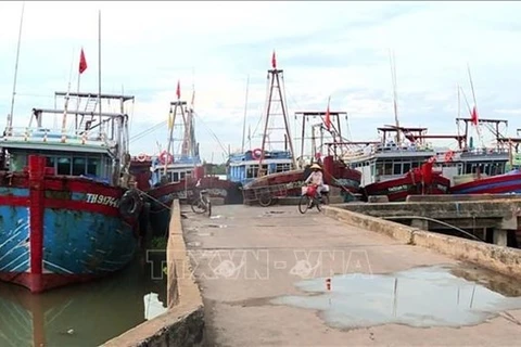 Thanh Hoa toma medidas drásticas contra barcos pesqueros ilegales