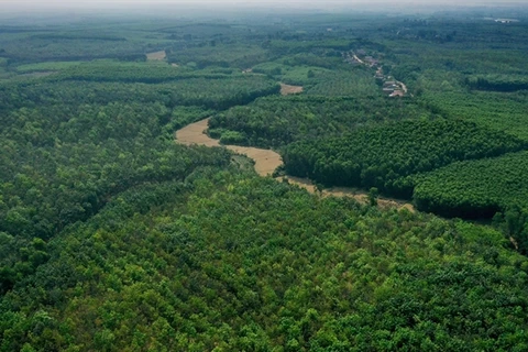 Día Mundial de la Vida Silvestre: Por la “salud” del planeta