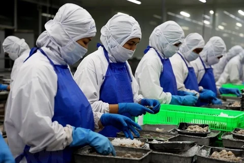 Exportaciones de productos acuícolas de Vietnam crecen 47%