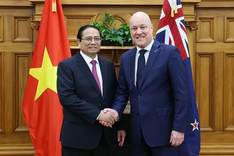 Trazan orientaciones para mejores lazos Vietnam- Nueva Zelanda