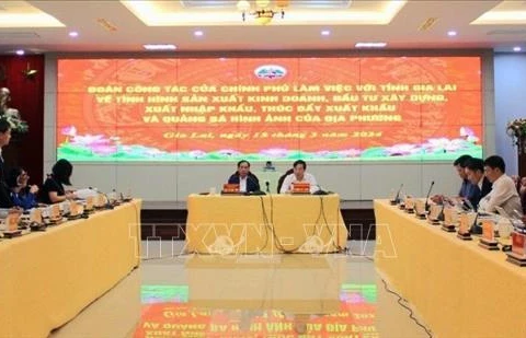 Provincia de Gia Lai apunta a tasa de crecimiento del 8,6% en 2024