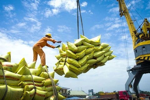 Exportaciones de arroz vietnamita a Senegal son modestas en comparación con la demanda