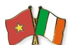 Dirigentes vietnamitas felicitan a Irlanda por su Día Nacional