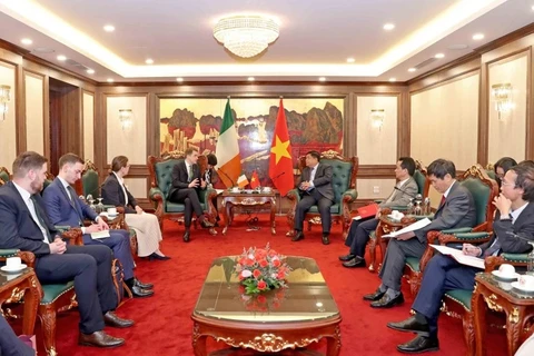 Vietnam e Irlanda amplían cooperación comercial y de inversión 