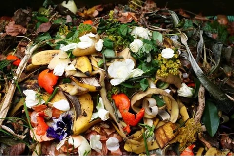 Investigadores tailandeses convierten residuos de alimentos en biocarbón