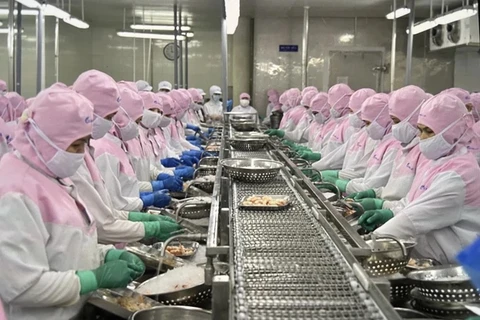 Buscan promover desarrollo de industria camaronera vietnamita