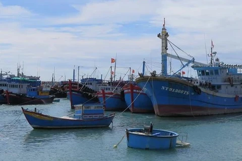 Provincia vietnamita impulsa propaganda sobre pesca ilegal