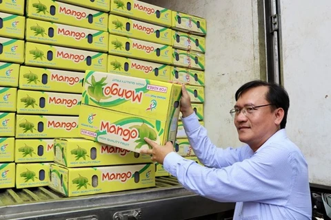 Provincia vietnamita exporta el primer lote de mangos de acacia a Corea del Sur