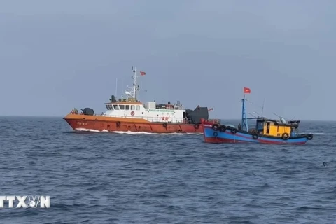 Esfuerzos conjuntos ayudan a prevenir la pesca ilegal en Vietnam