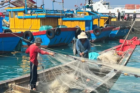 Provincia vietnamita trabaja duro para combatir la pesca ilegal