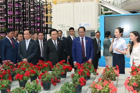 Presidente del Parlamento de Vietnam conoce modelos económicos de provincia de Yunnan