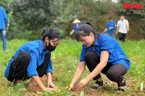 Más de 94 mil proyectos se implementan en el Mes de la Juventud 2024