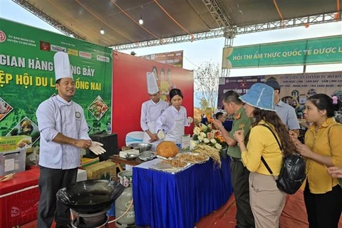 Kon Tum: Récord de Vietnam en preparación de platos utilizando ginseng local