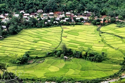 Descubren la Reserva Natural de Pu Luong en provincia vietnamita de Thanh Hoa