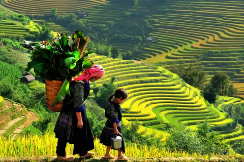 (Televisión) Promueven en Vietnam el turismo comunitario