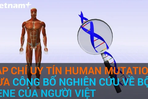 (Video) Decodifica el genoma vietnamita, la puerta que abre el pasado y el futuro