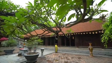 (Televisión) Pagoda Vinh Nghiem, recinto de patrimonio documental mundial