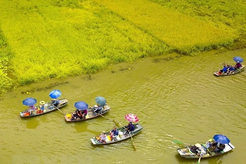 (Televisión) Vietnam seleccionado como primer destino turístico post COVID-19 
