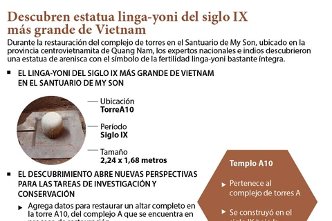 [Info] Descubren estatua linga-yoni del siglo IX más grande de Vietnam