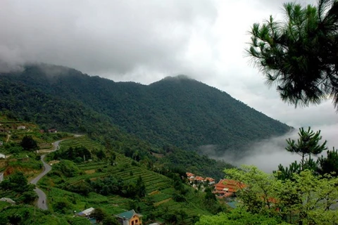 Parque Nacional de Tam Dao, zona de alta biodiversidad