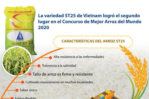 La variedad ST25 de Vietnam logró el segundo lugar en el Concurso de Mejor Arroz del Mundo 2020