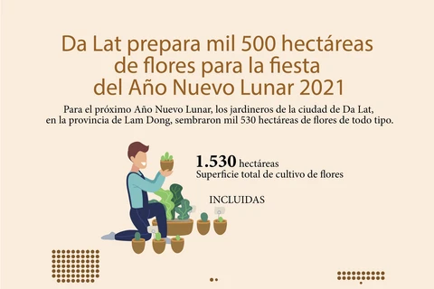 Da Lat prepara mil 500 hectáreas de flores para la fiesta del Año Nuevo Lunar 2021