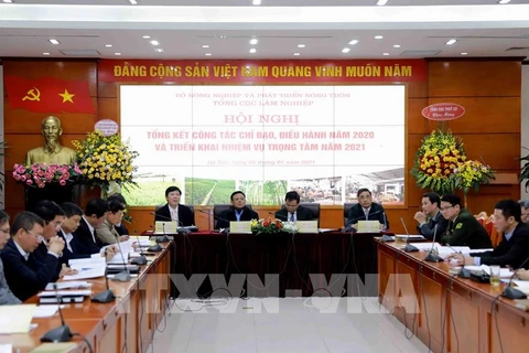 Exhortan en Vietnam fortalecer la protección forestal