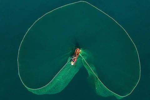 Impresionantes imágenes de la pesca en aguas vietnamitas