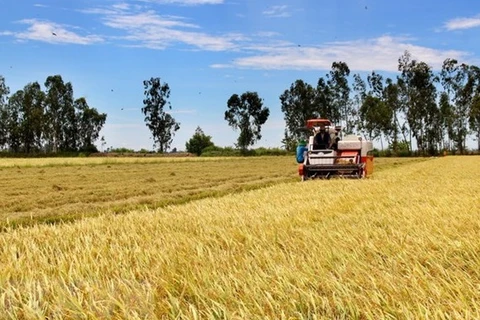 Flexibilidad y adaptabilidad deciden éxito del sector agrícola de Vietnam en 2021
