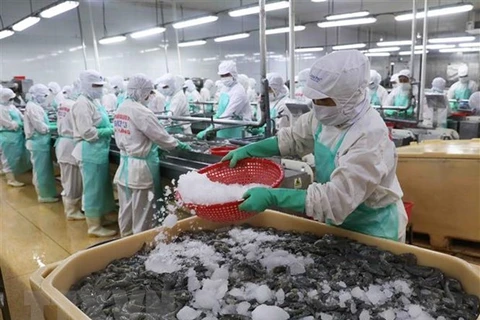 Acuerdo RCEP crea efectos positivos para exportaciones de mariscos de Vietnam