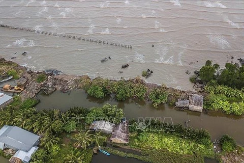 Aplican en Vietnam soluciones basadas en la naturaleza para el cambio climático