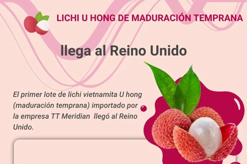 Llega a Reino Unido primer lote de lichi vietnamita U hong