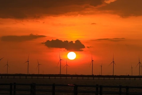 Admiran belleza de la puesta de sol en el "campo de energía eólica" en Bac Lieu