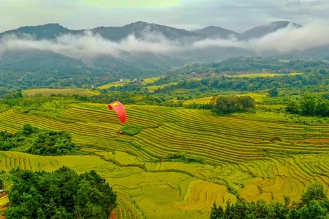 Quang Ninh lista para el Festival de la Temporada Dorada de Binh Lieu