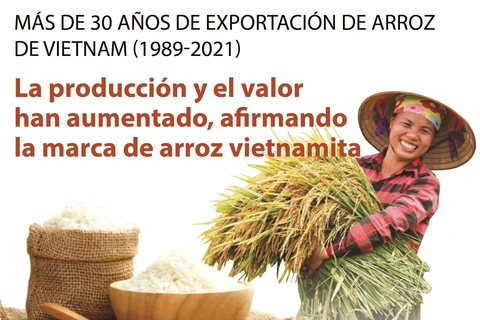 Más de 30 años de exportación de arroz de Vietnam (1989-2021)