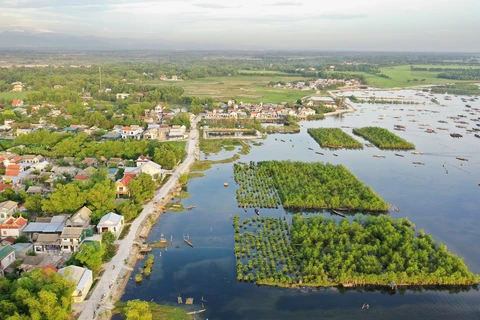 Día Mundial del Medio Ambiente 2021: Restauración de los ecosistemas