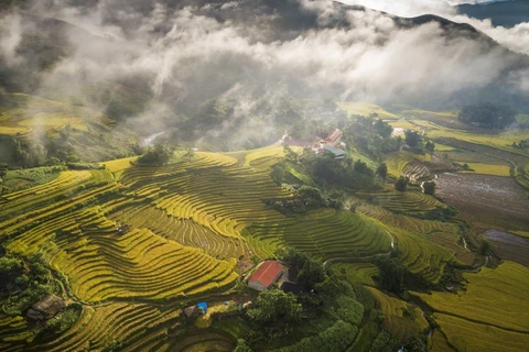 Forbes: Provincia vietnamita de Lao Cai entre las cinco maravillas naturales del Sudeste Asiático