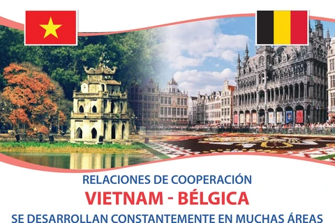 Relaciones Vietnam-Bélgica se desarrollan constantemente