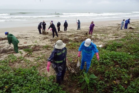 Publican por primera vez estudio sobre el medioambiente marino e insular de Vietnam