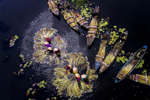 Belleza de cuatro estaciones en provincia vietnamita de Long An