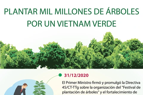 Plantar mil millones de árboles por un Vietnam verde