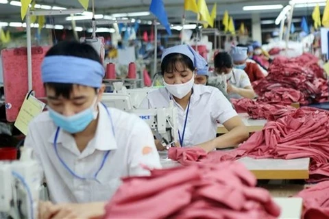 Empresas vietnamitas se adaptan a las condiciones del CPTPP